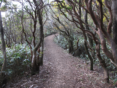 20181025hike (111)